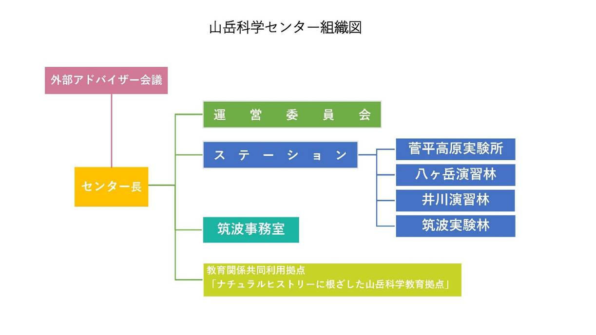 organisation_chart