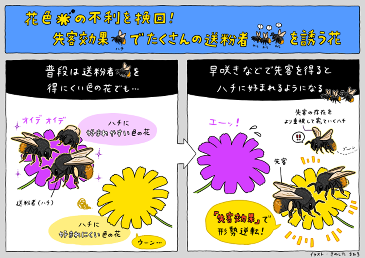 https://msc.tsukuba.ac.jp/wp/wp-content/uploads/2026/03/9c15821e377f06e5457671ad98a88048.png