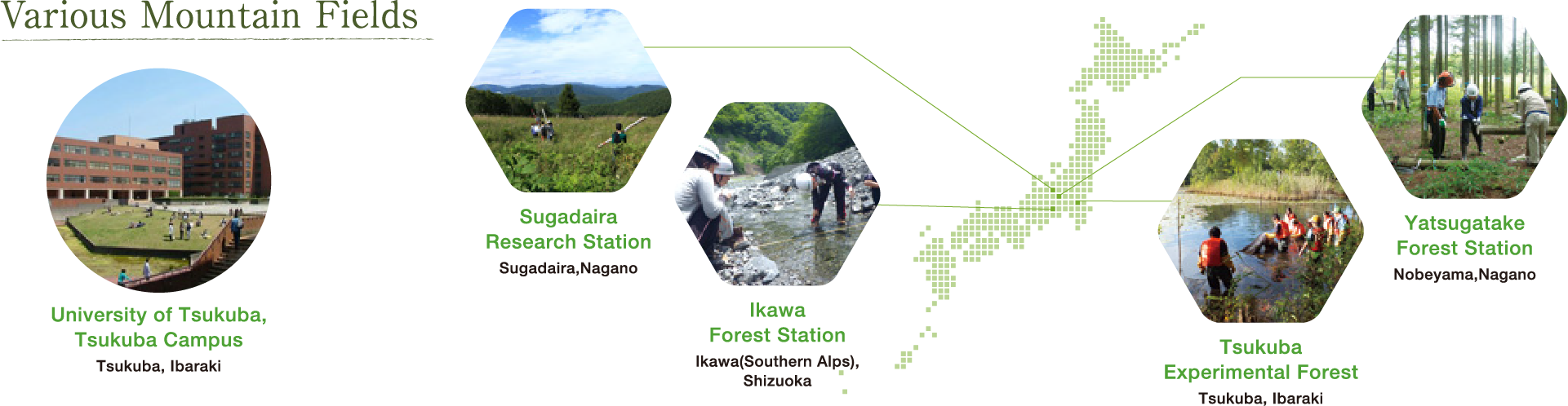 Various Mountain Fields