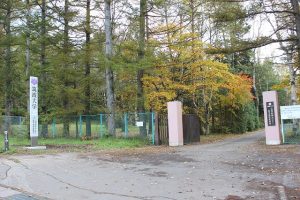 新しい看板（サイン）