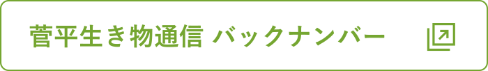 バックナンバー