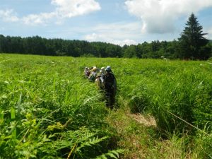 昨年の自然観察会の様子