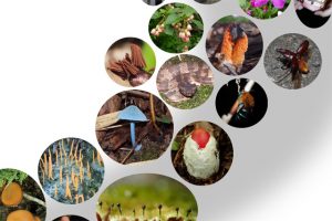 なんでも生物質問所