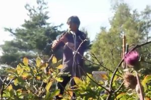 峰の原の草原をつくろう！Vol.5