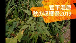 菅平湿原／秋の収穫祭2019