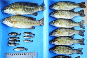 2018年7月19日　冠着橋（長野県千曲市）にて