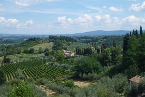 トスカーナ地方の景観（写真　津田吉晃）