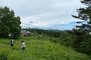 7月5日のようす