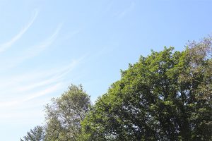 上田市ってどんな地域？