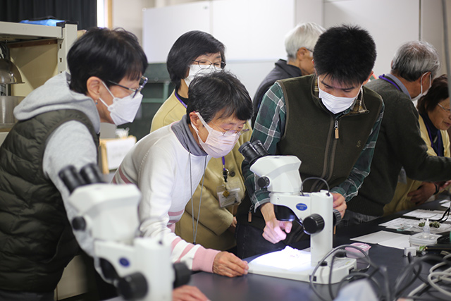 実体顕微鏡で担子地衣類や、藍藻と共生している地衣類を観察。中央右は升本先生。