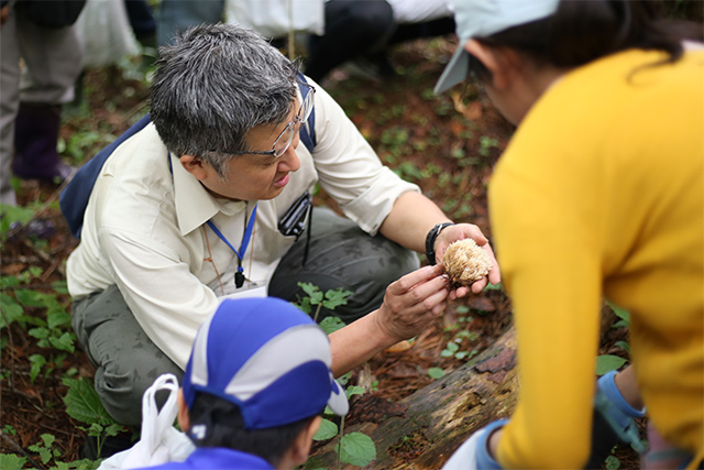 薄暗いアカマツ林で菌類探し（左：出川洋介准教授）