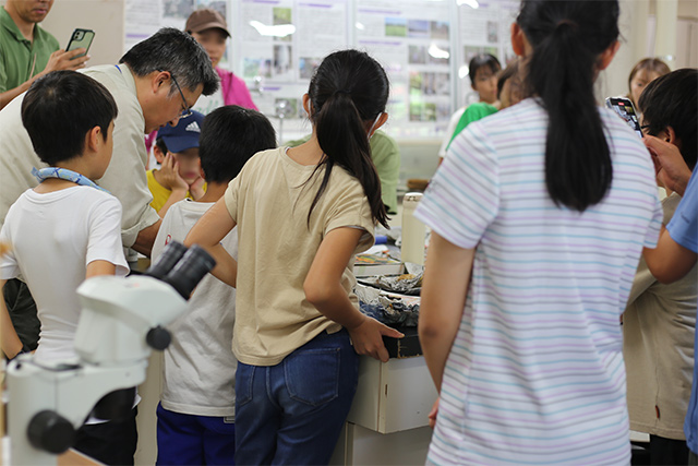 子供も大人も興味津々