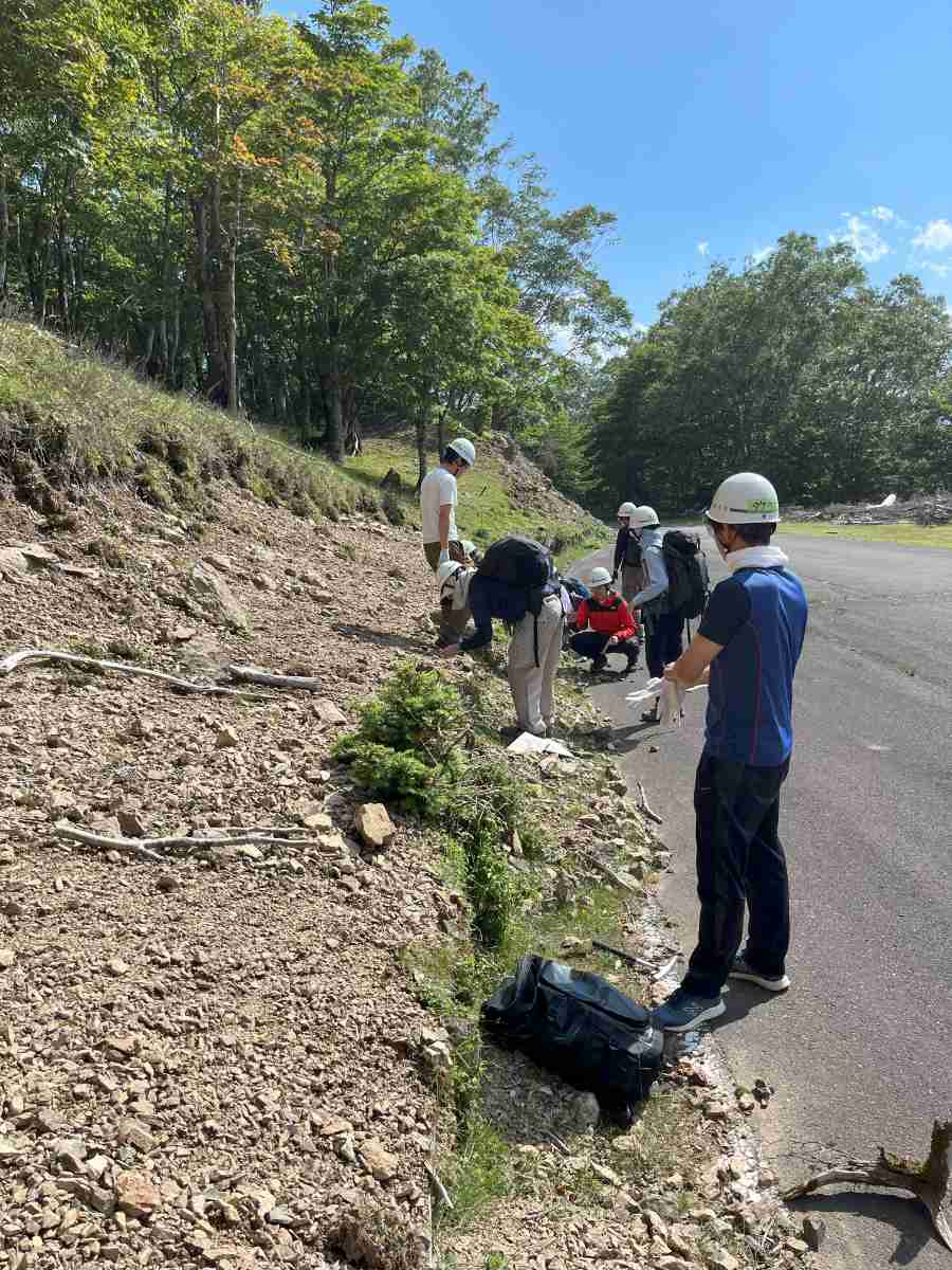 (林道勘行峰線沿いで)石をたたこう!岩石を叩き割って、名称、特徴を調べる。