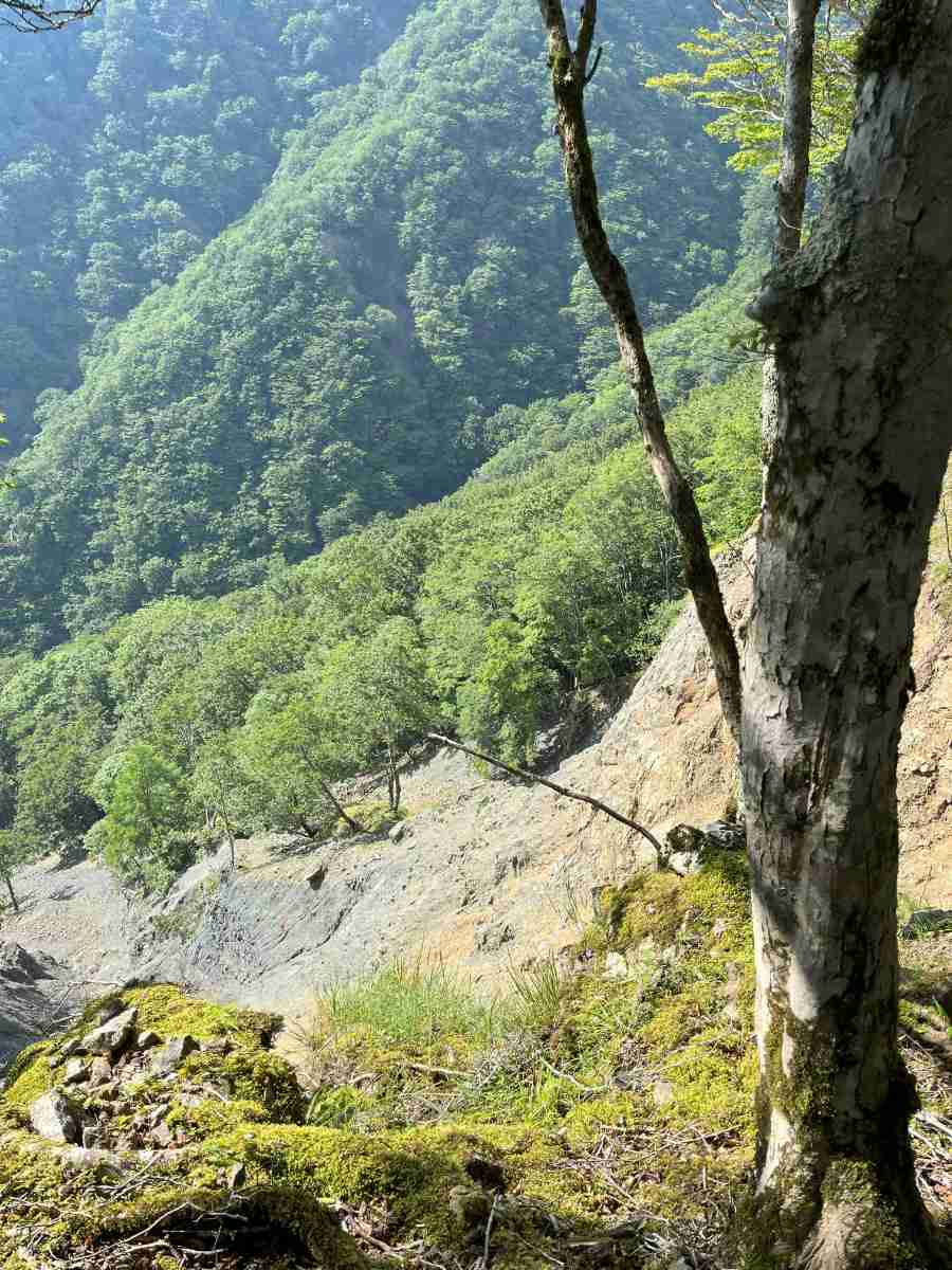 地形・地質調査(大起伏山地)