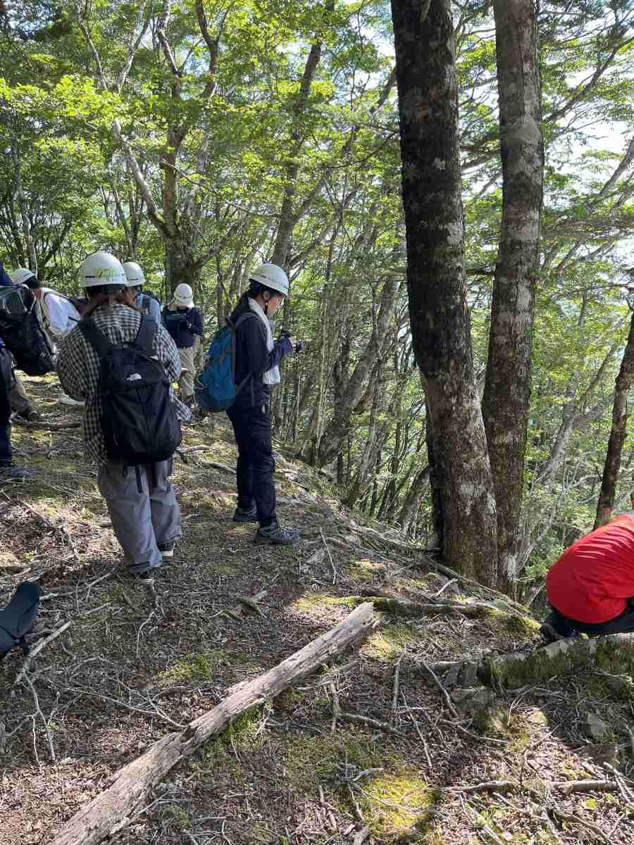 山地稜線部に沿って