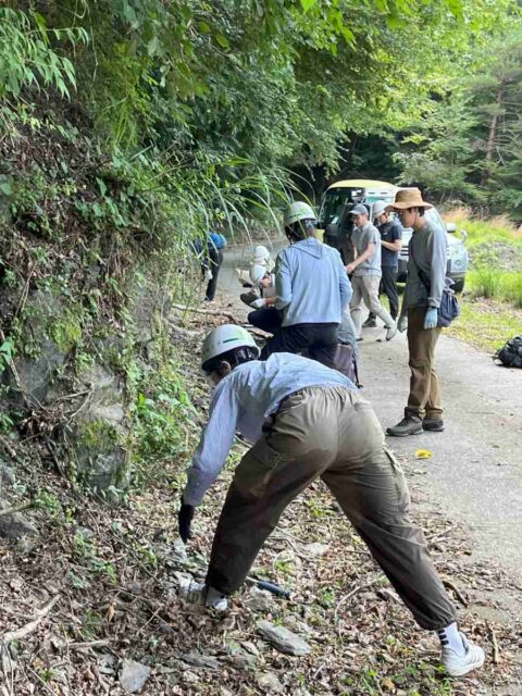 岩石の調査。石を割ってどんな鉱物でできているか調べる。