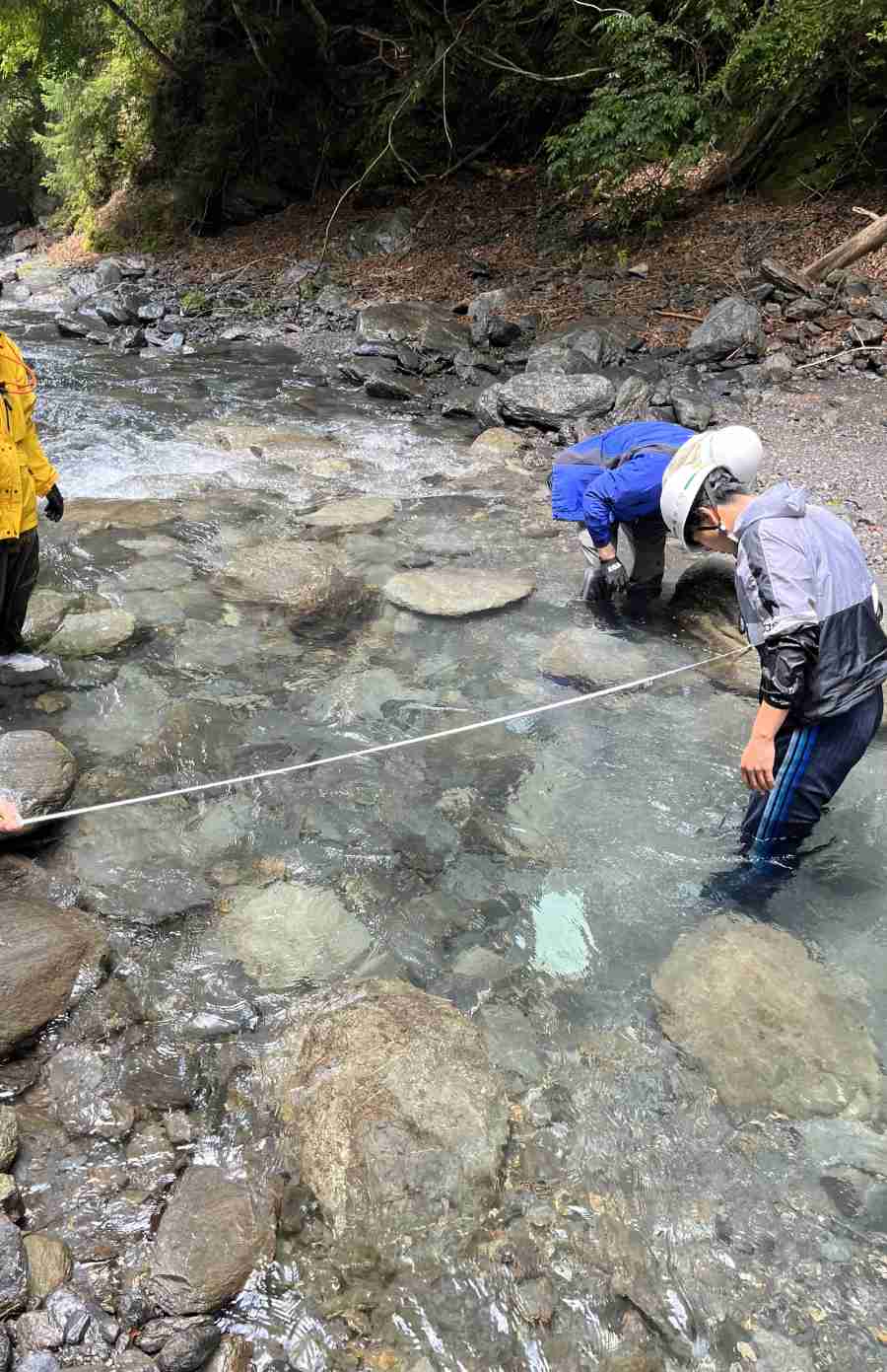 (所沢地区) 川幅を測る。