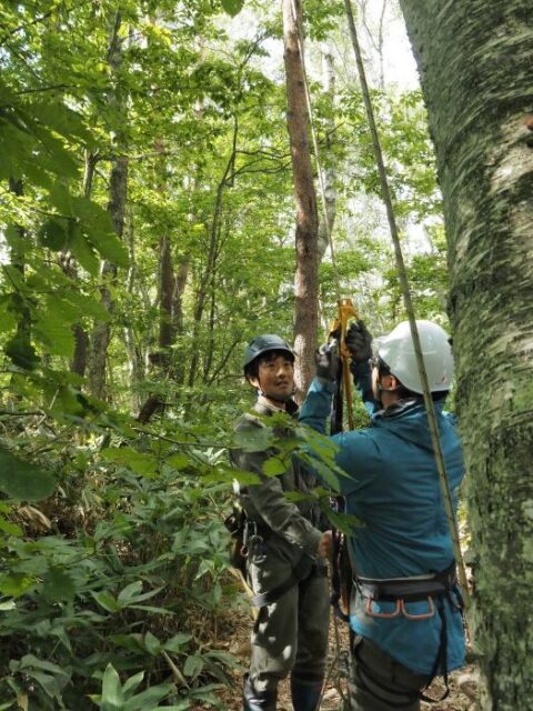 田中健太先生によるロープ木登りの説明。