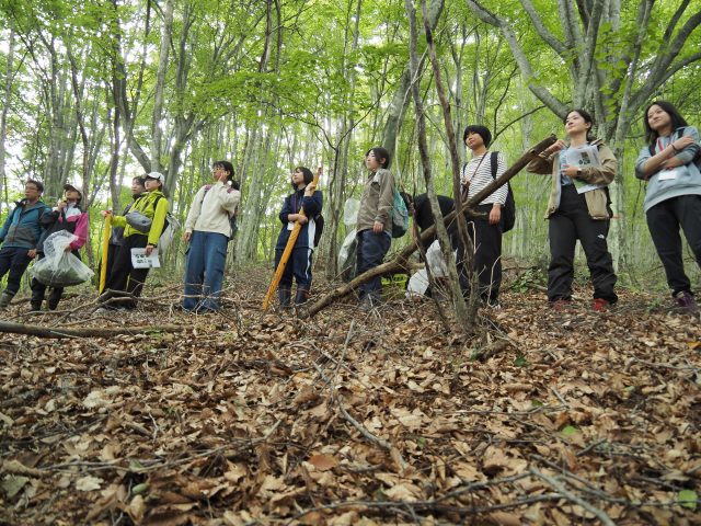 調査地。毎木調査の説明を受けている。