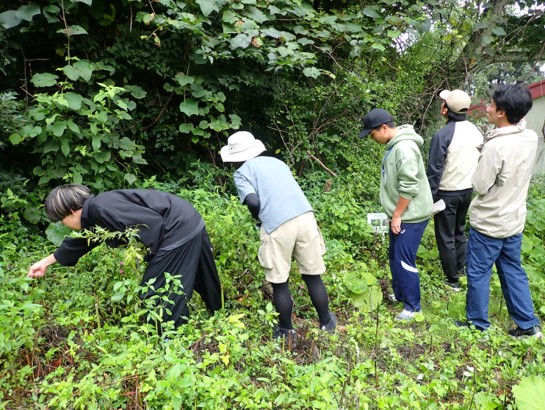 草原・林緑部での植物観察