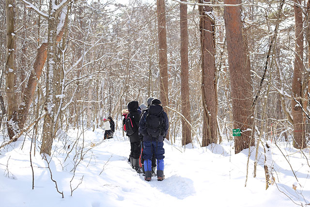 観察道は、一週間前にナチュラリストたちが雪を踏み固めて歩きやすい状態に