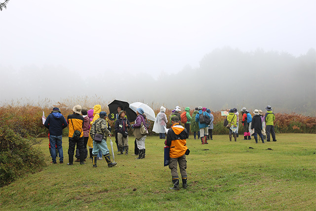 小雨が降るなかの自然観察会