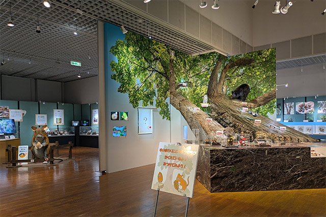 展示室のようす