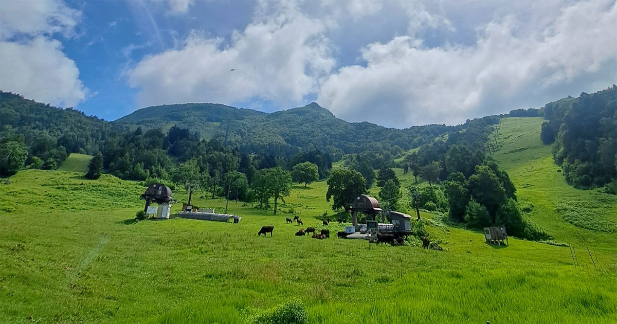 山田牧場お楽しみシンポジウム みんなで山田牧場を語ろう！