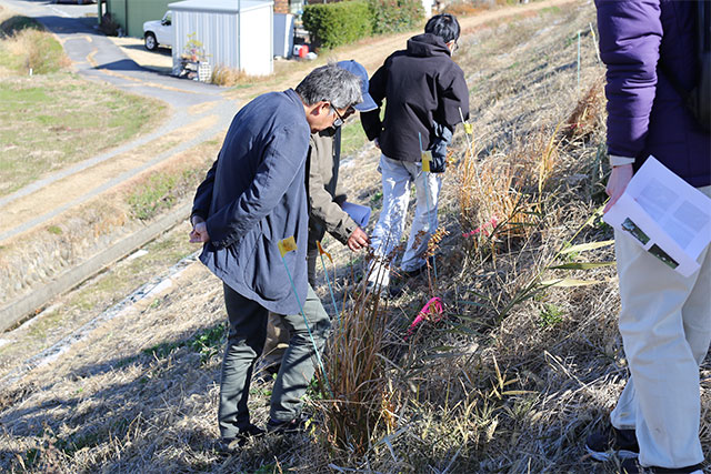 地元の方による解説