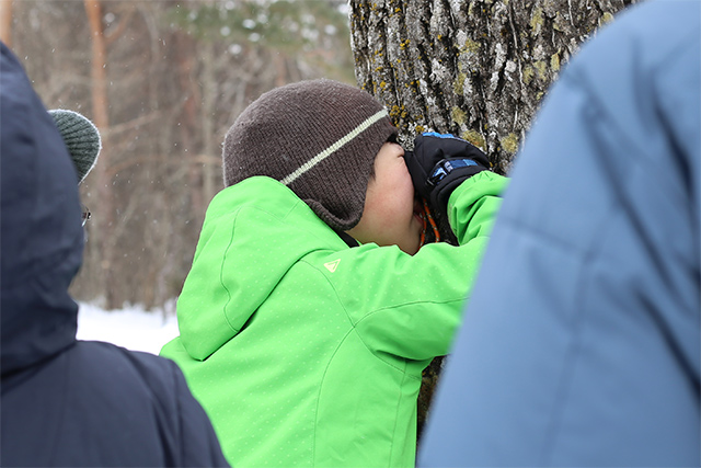 ルーペで地衣類を観察