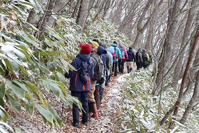 日当たりのよいところでは雪が解けていた