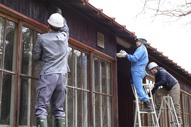 高いところもはしごを使って作業