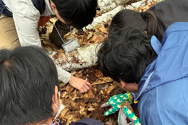 大学院生と大学生のスタッフ(左上)が講座をサポート