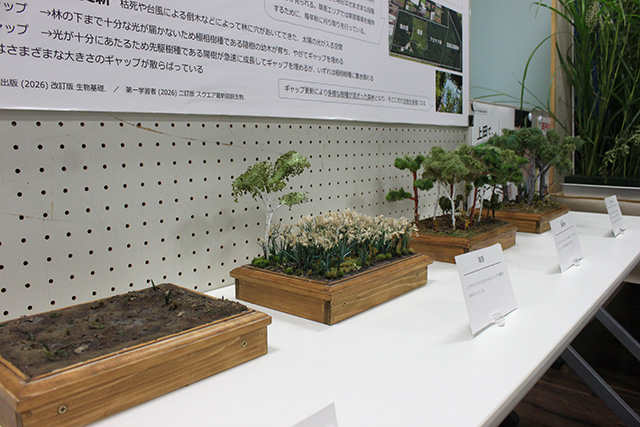「植生の移り変わり」コーナー