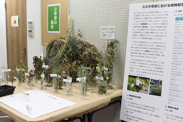 「草原の調査」コーナー