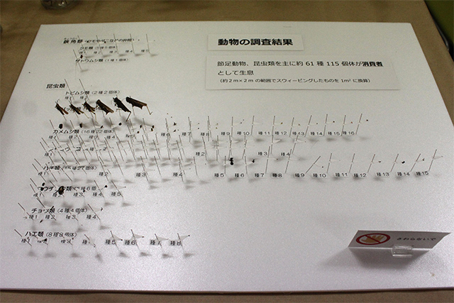 動物の調査結果